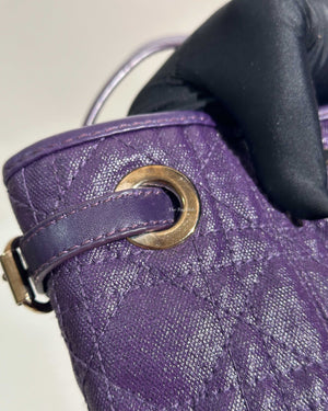 Dior Purple Panarea Shopping Bag-18