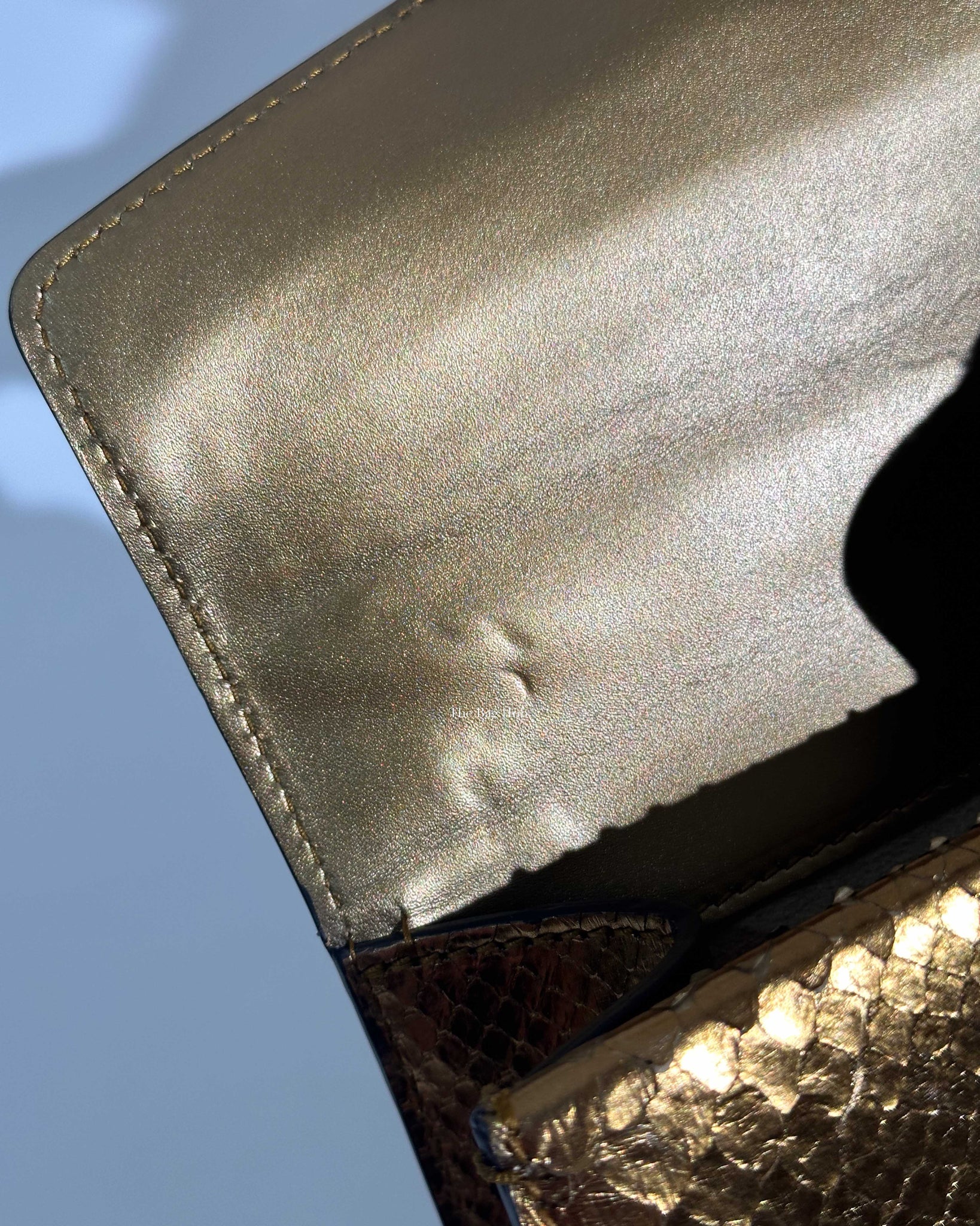 Gucci Gold Python Jewel Embellished Mini Dionysus Crossbody Bag-18