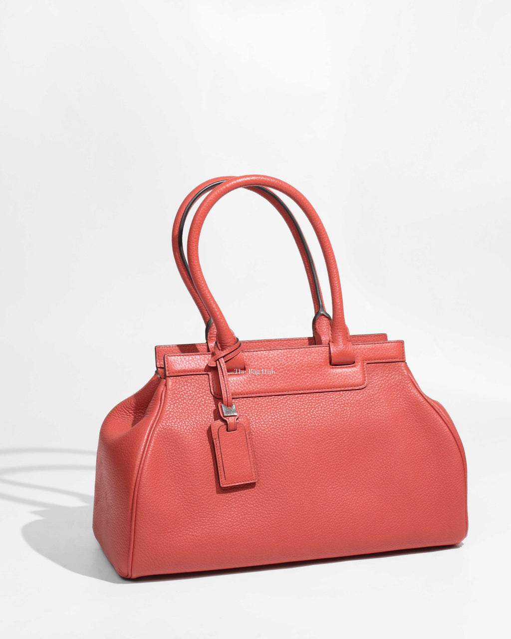 Moynat Tangerin Taurillon Leather MM Pauline 2way Bag-1