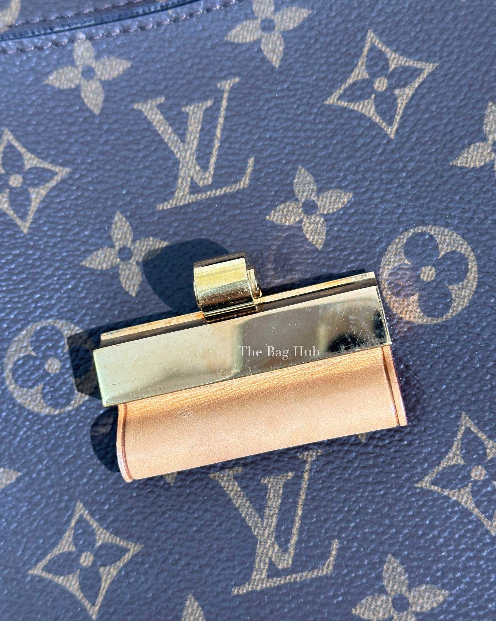 Louis Vuitton Amethyste/Monogram Olympe Shouldre Bag-15