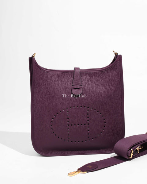 hermes evelyne raisin