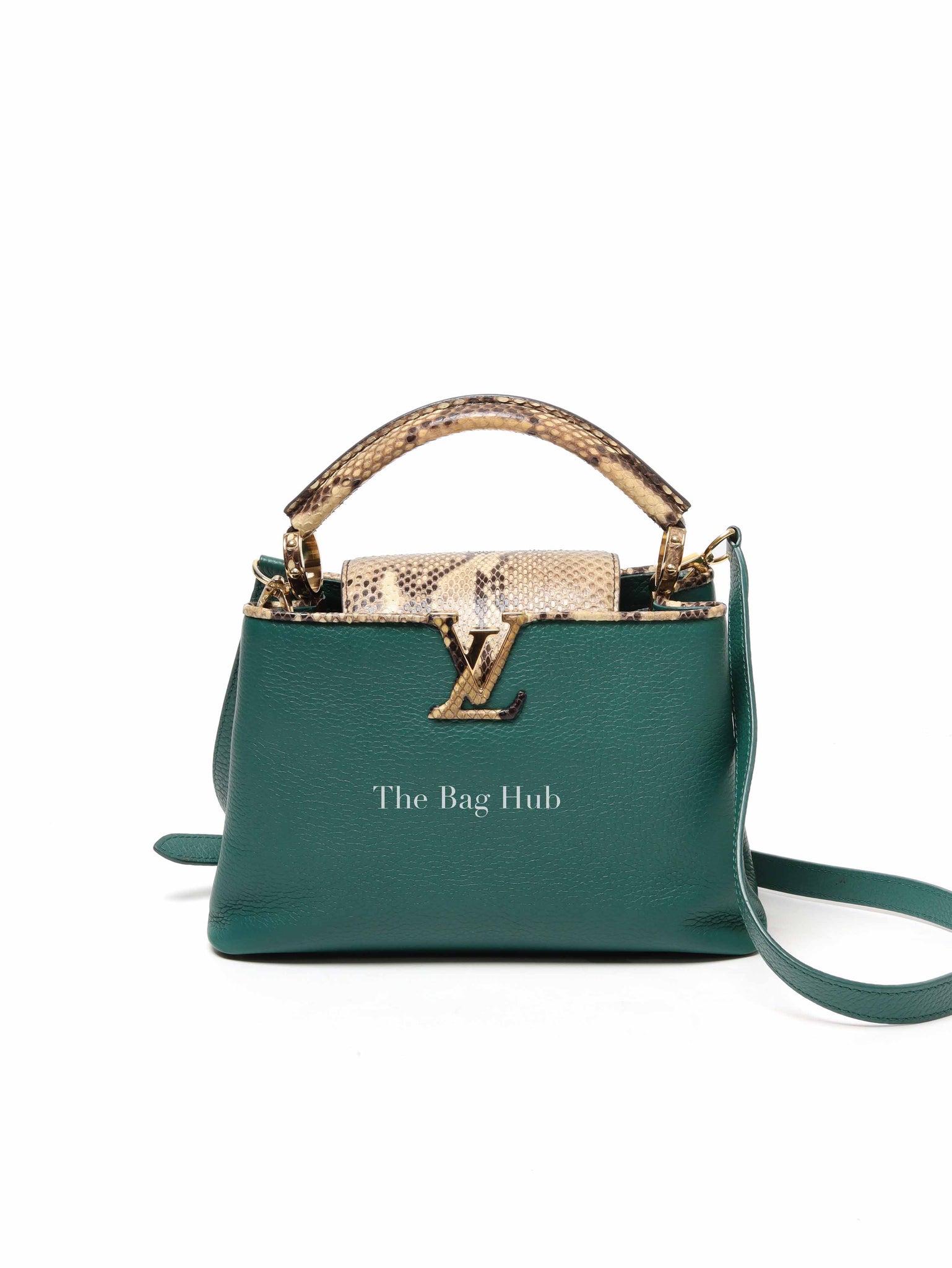 Louis Vuitton Emerald Taurillo Leather Python BB Capucine Bag