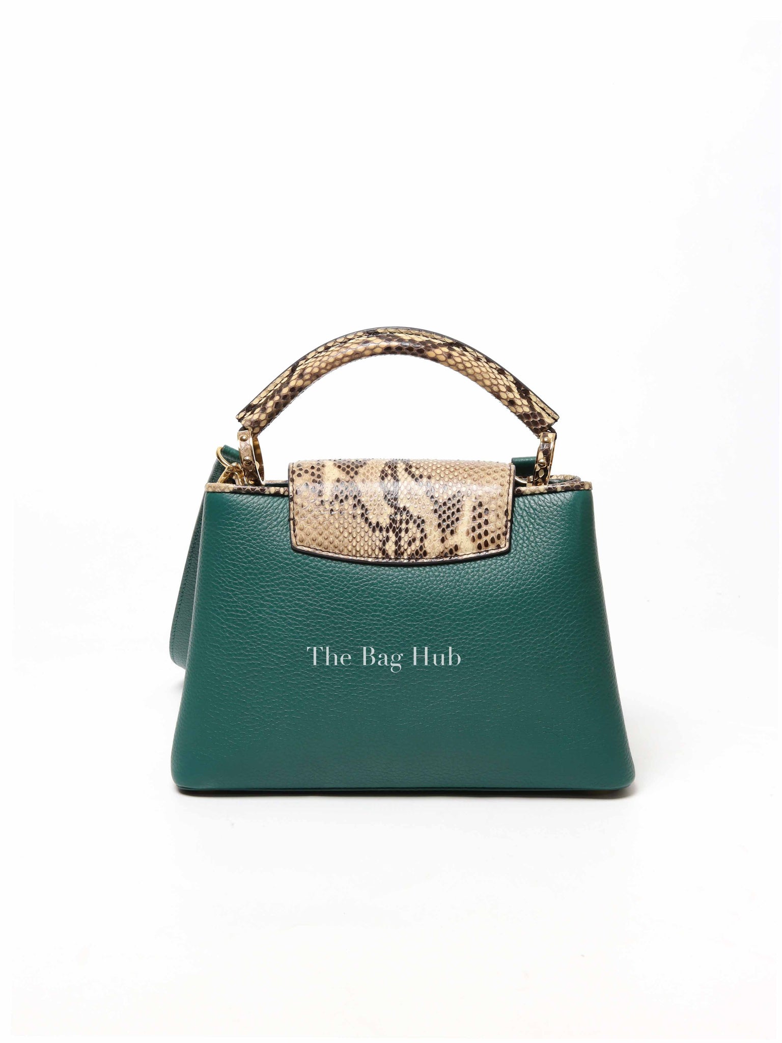 Louis Vuitton Emerald Taurillo Leather Python BB Capucine Bag