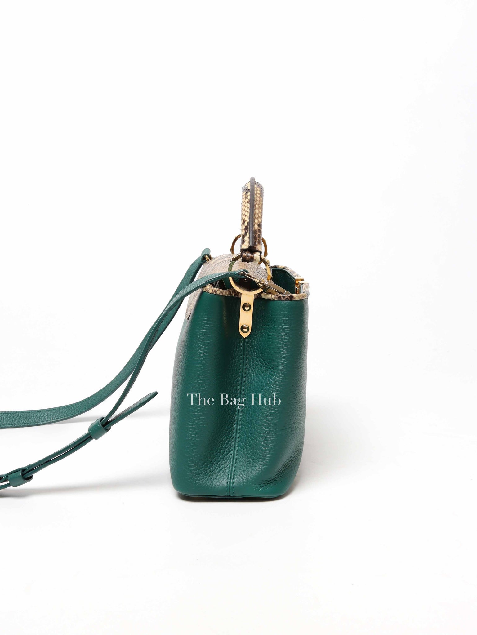 Louis Vuitton Emerald Taurillo Leather Python BB Capucine Bag