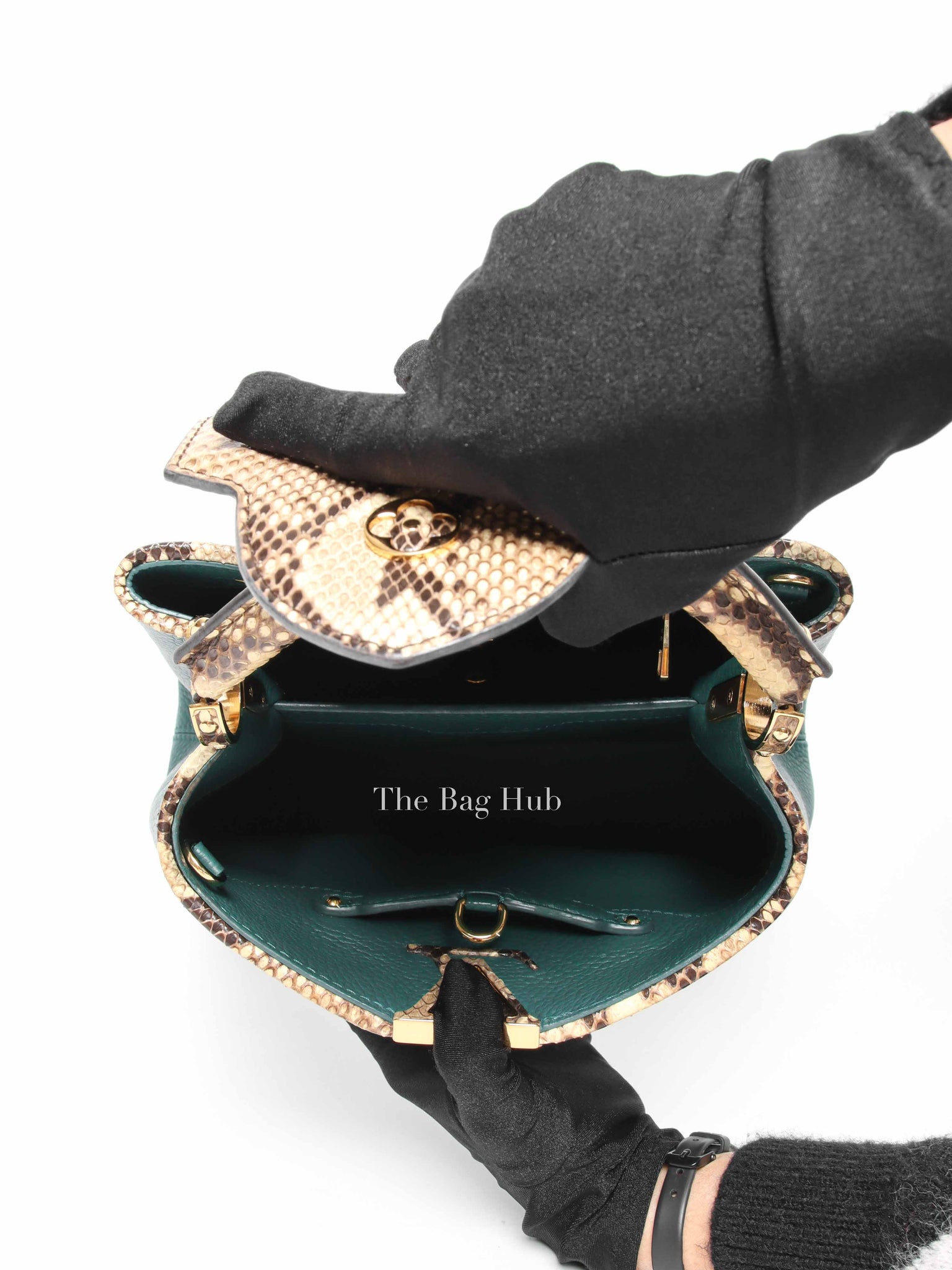 Louis Vuitton Emerald Taurillo Leather Python BB Capucine Bag