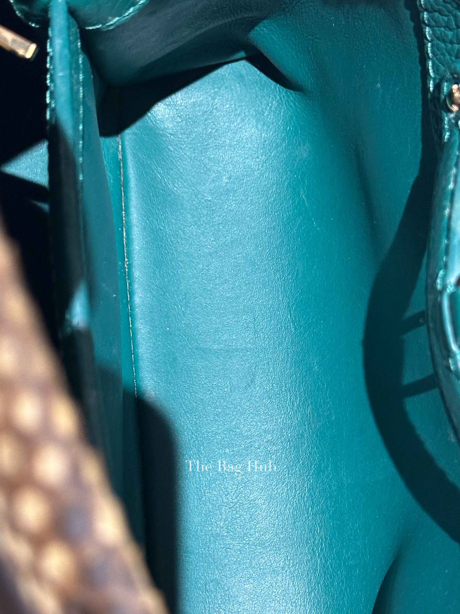 Louis Vuitton Emerald Taurillo Leather Python BB Capucine Bag
