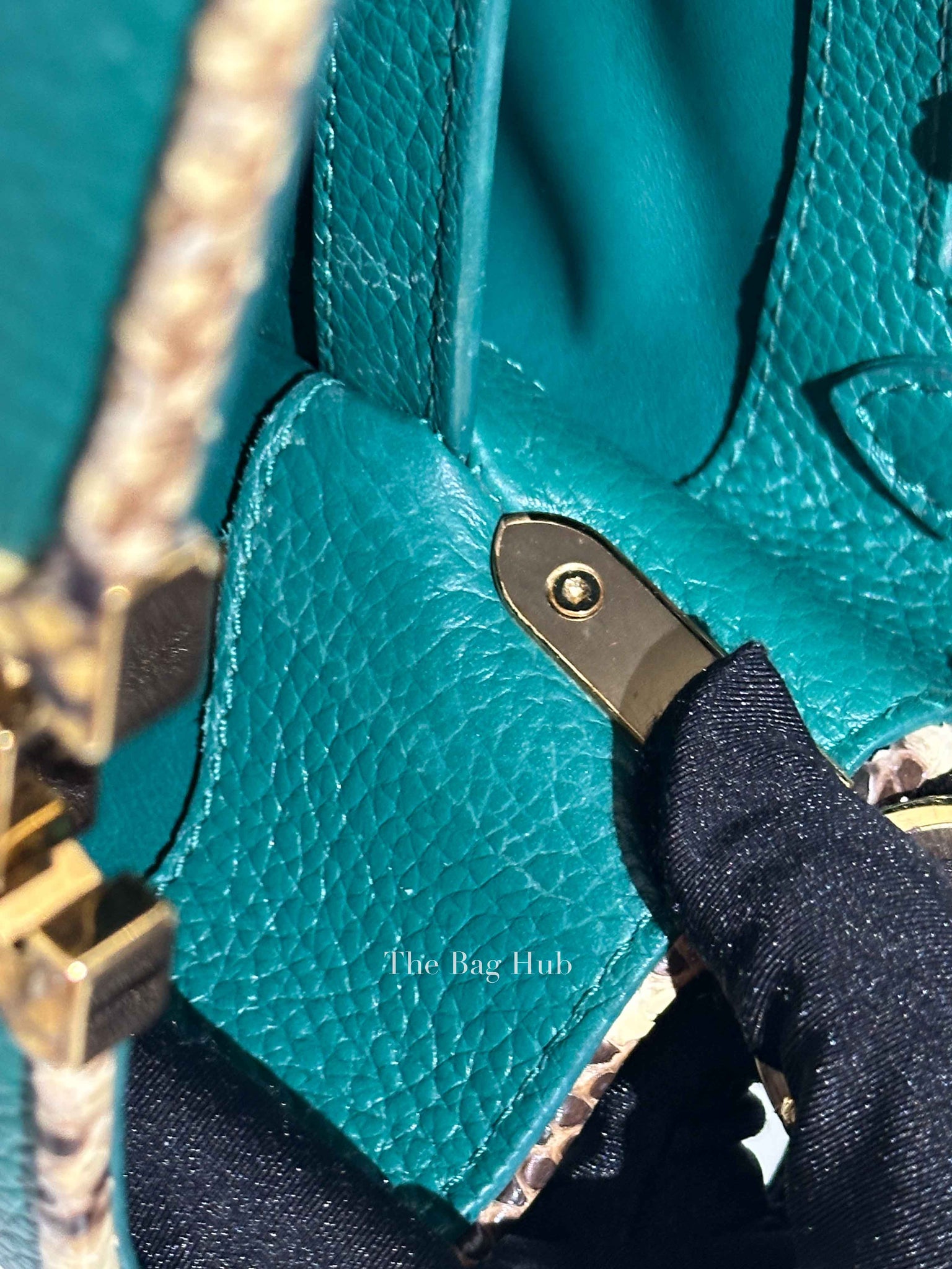 Louis Vuitton Emerald Taurillo Leather Python BB Capucine Bag