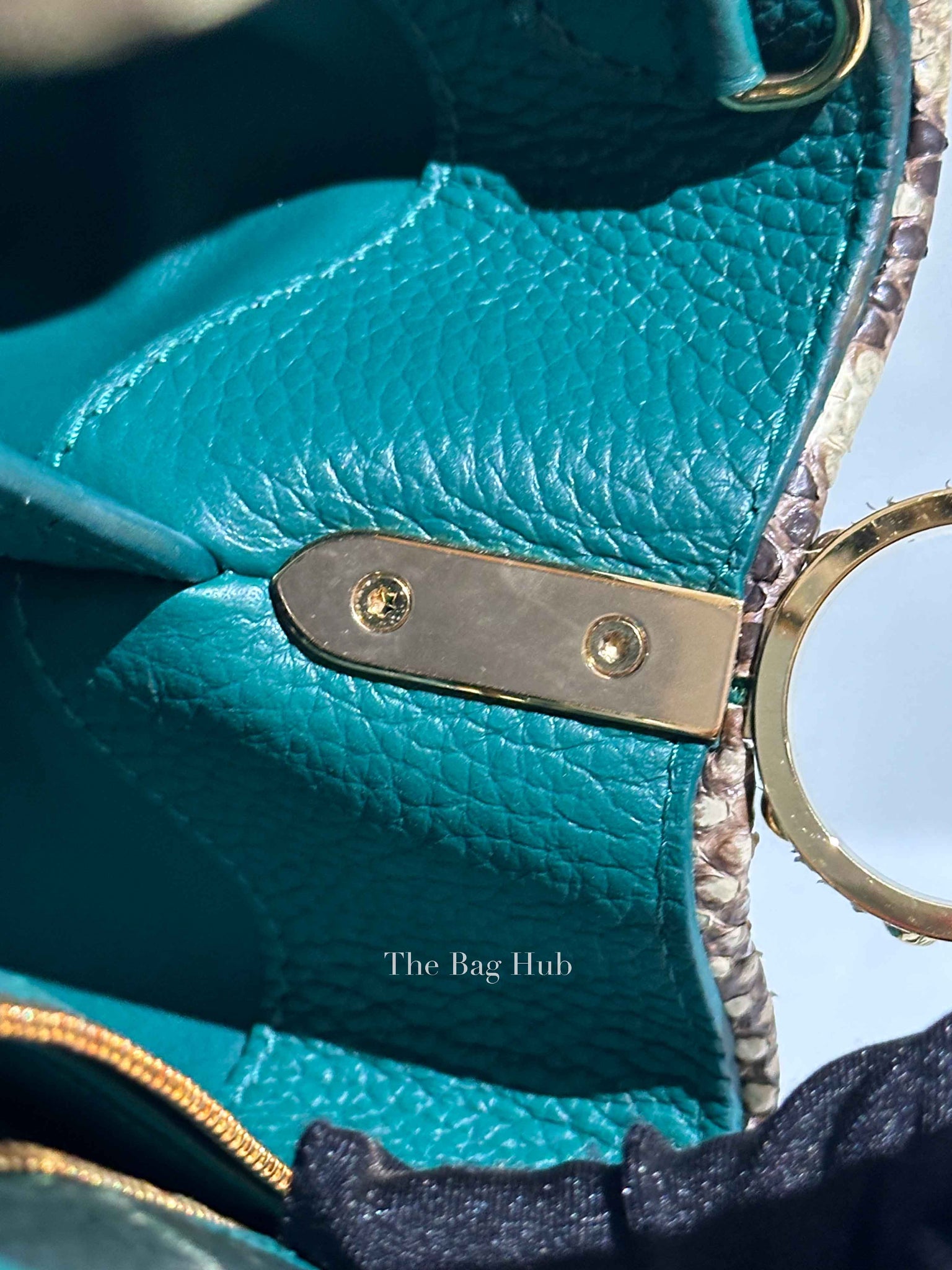 Louis Vuitton Emerald Taurillo Leather Python BB Capucine Bag