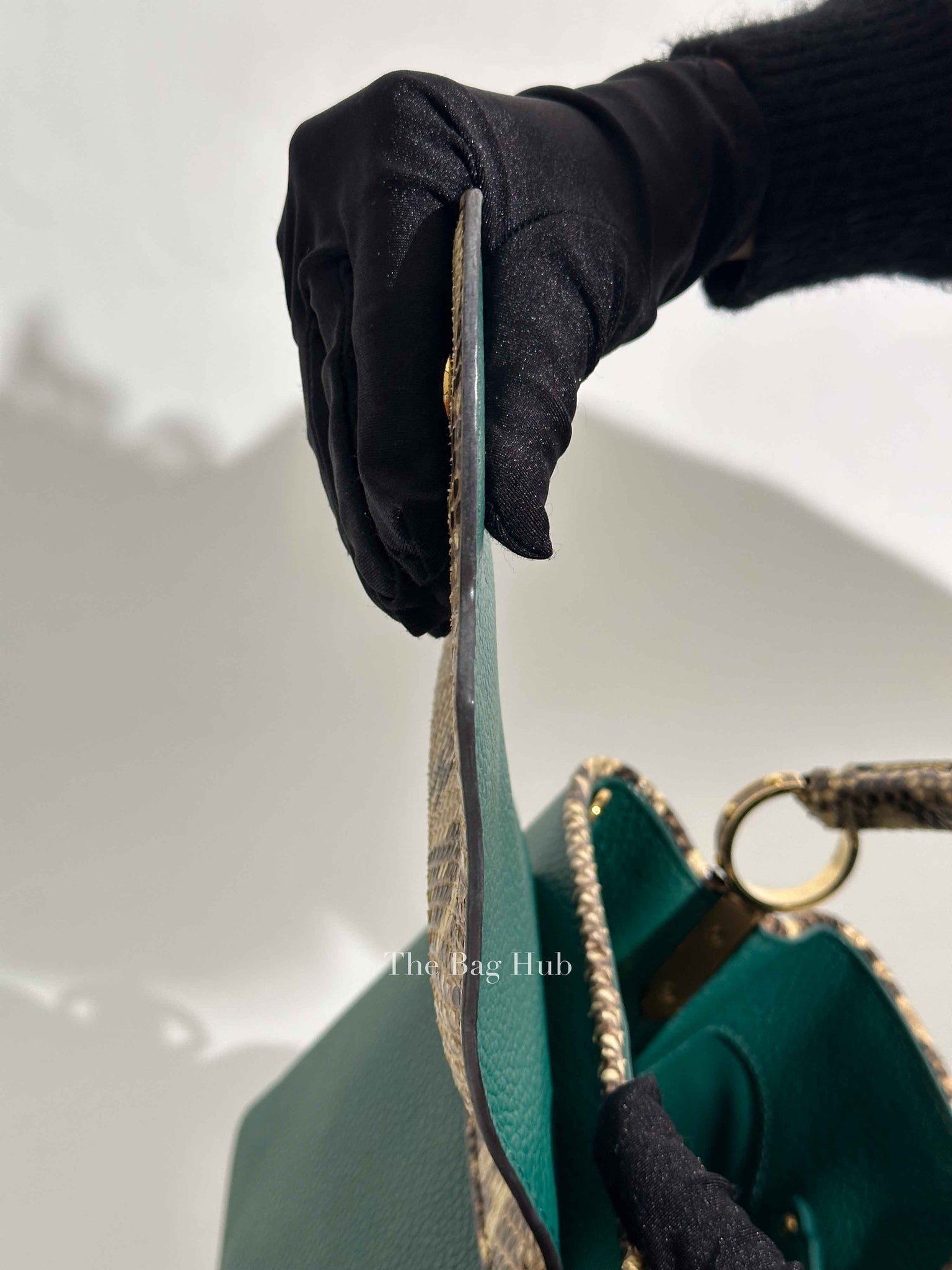 Louis Vuitton Emerald Taurillo Leather Python BB Capucine Bag