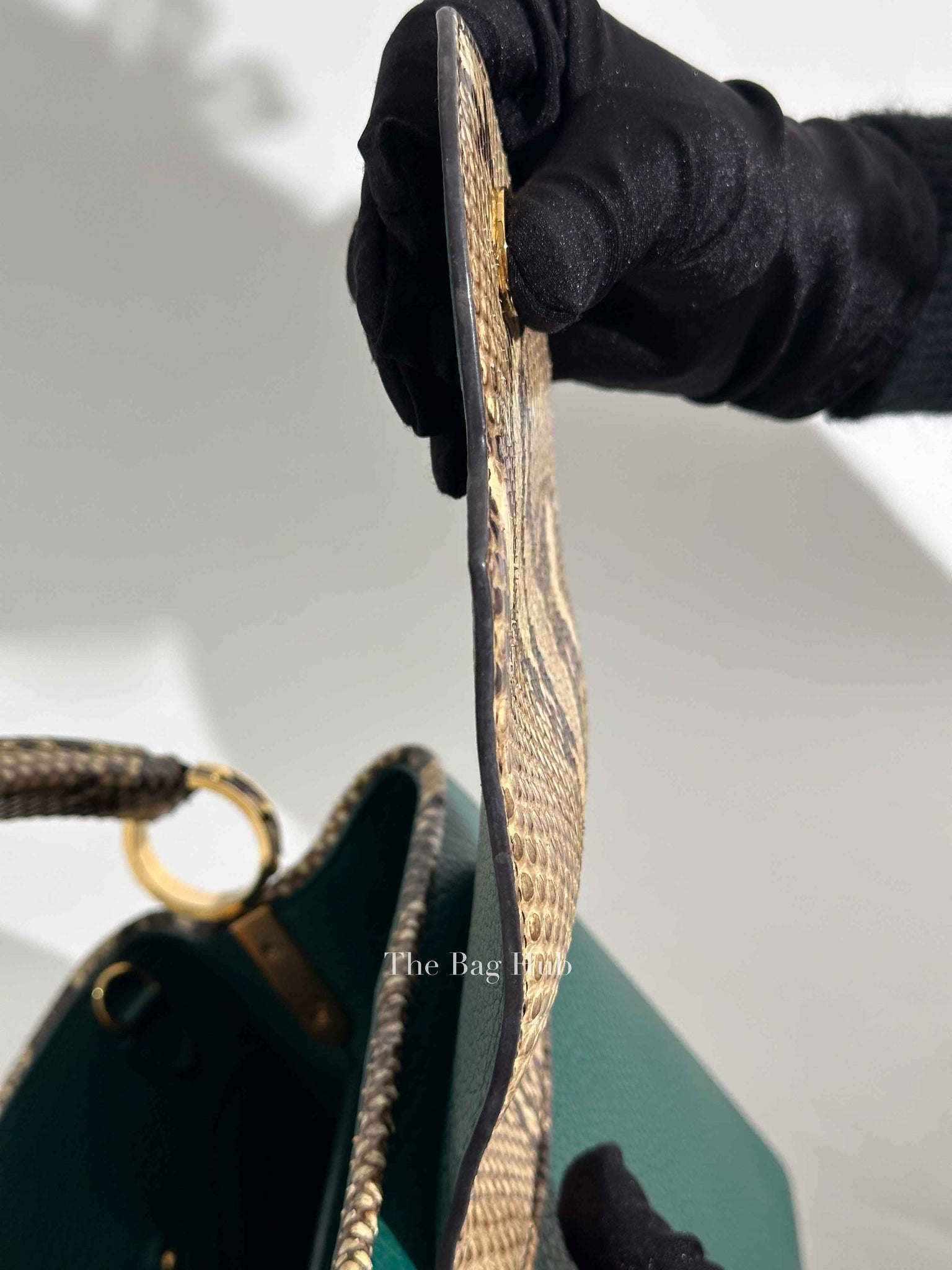 Louis Vuitton Emerald Taurillo Leather Python BB Capucine Bag
