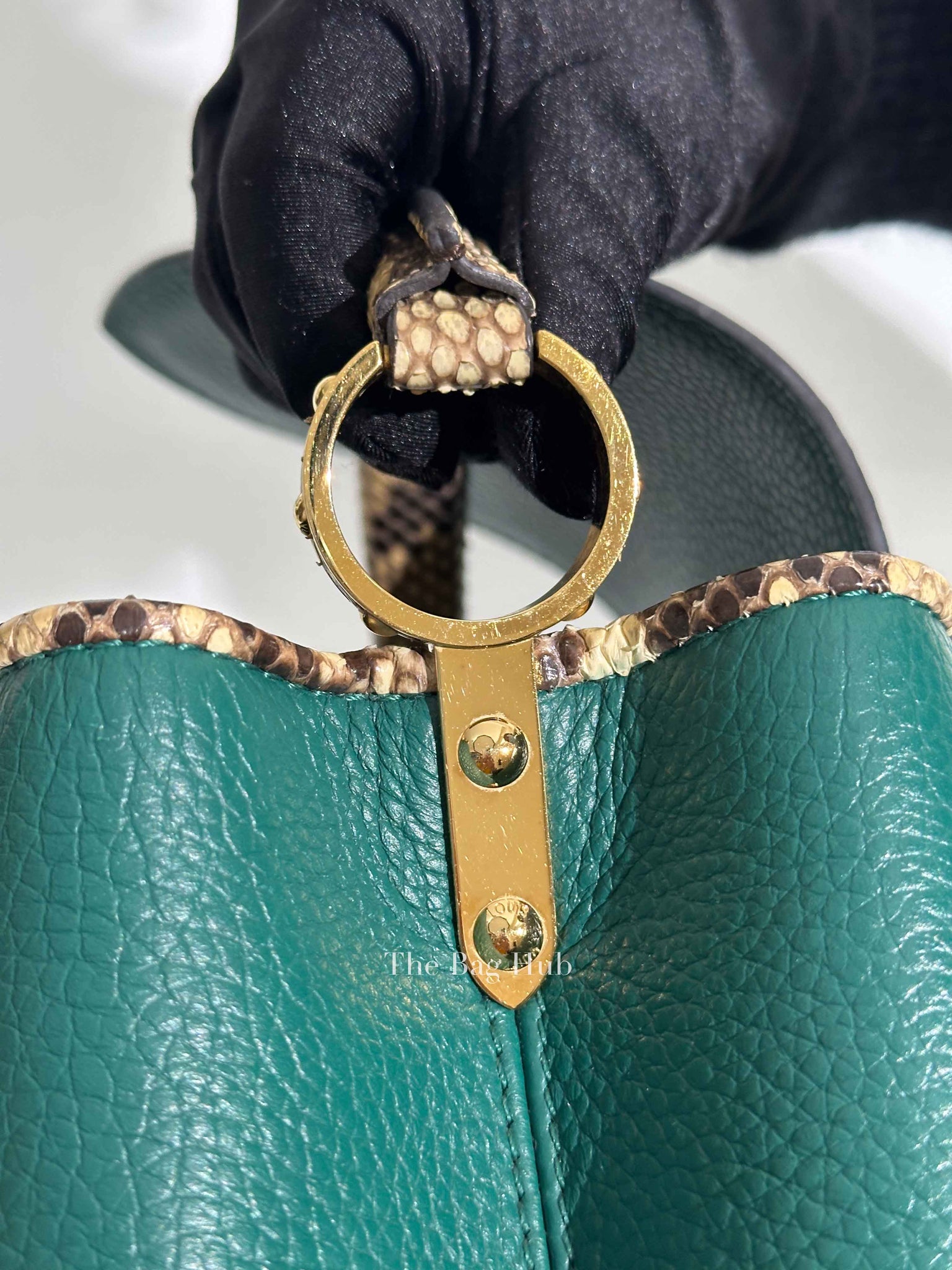 Louis Vuitton Emerald Taurillo Leather Python BB Capucine Bag