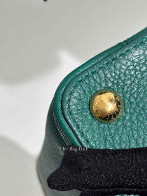 Louis Vuitton Emerald Taurillo Leather Python BB Capucine Bag
