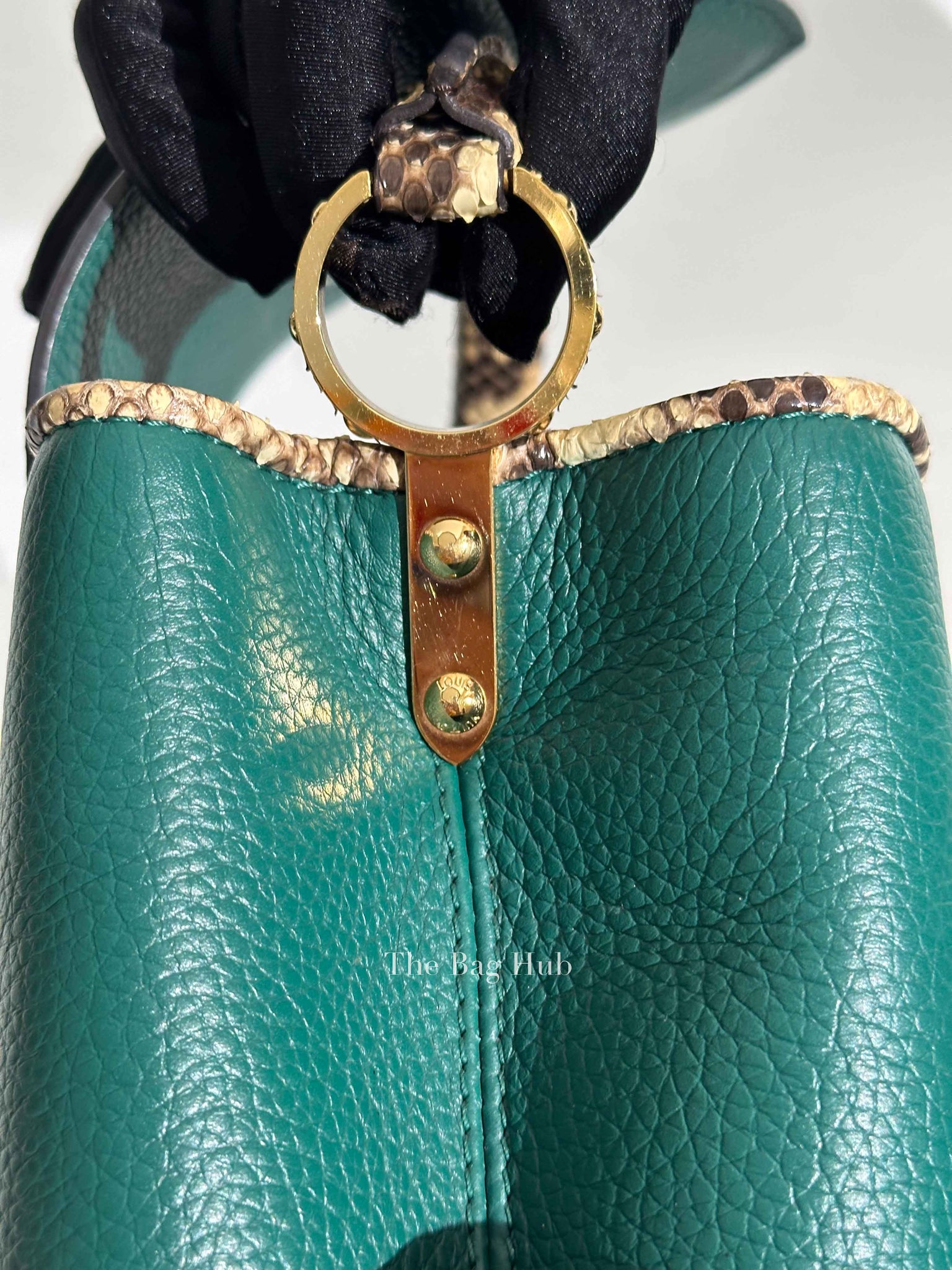 Louis Vuitton Emerald Taurillo Leather Python BB Capucine Bag