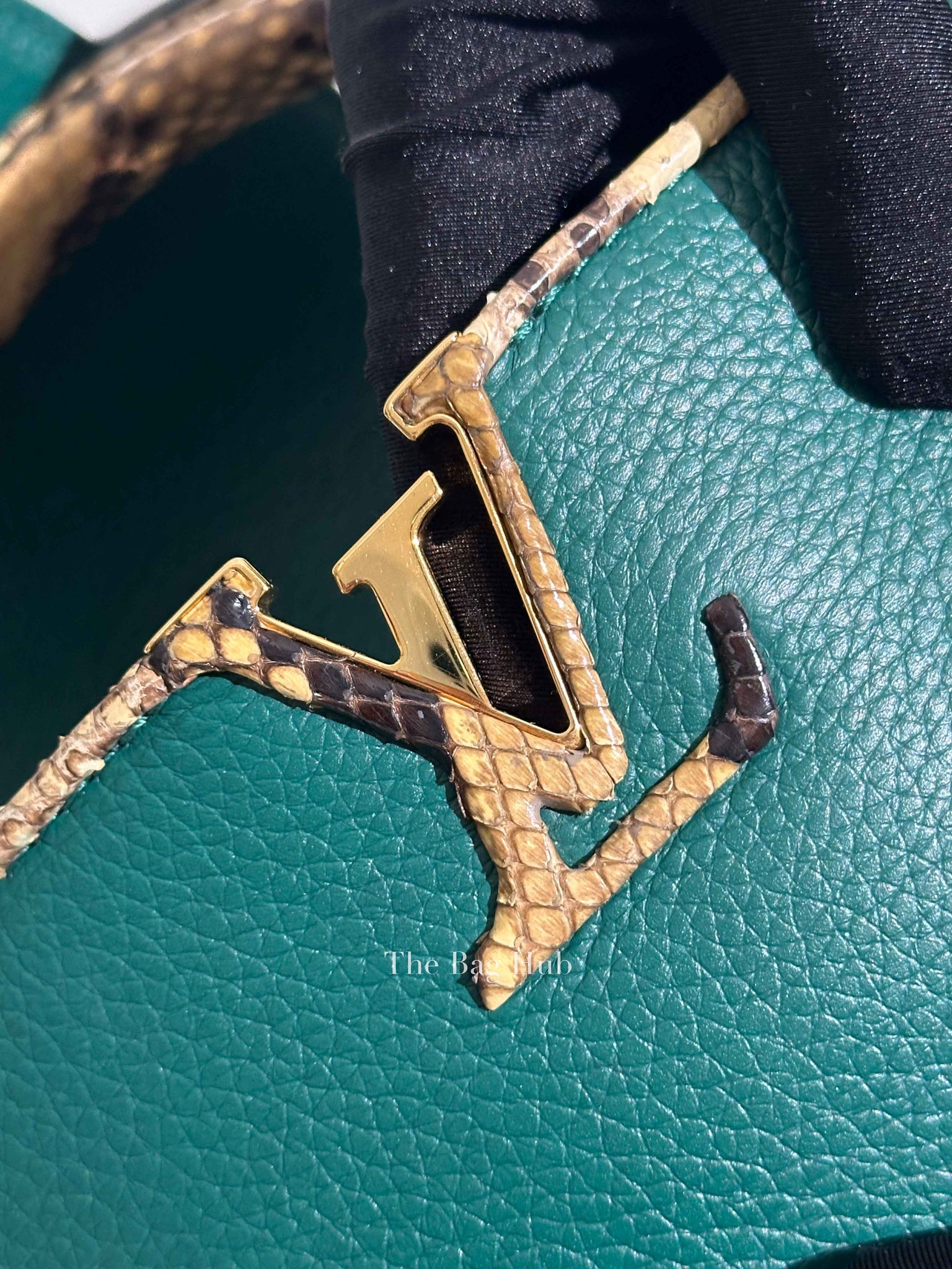 Louis Vuitton Emerald Taurillo Leather Python BB Capucine Bag