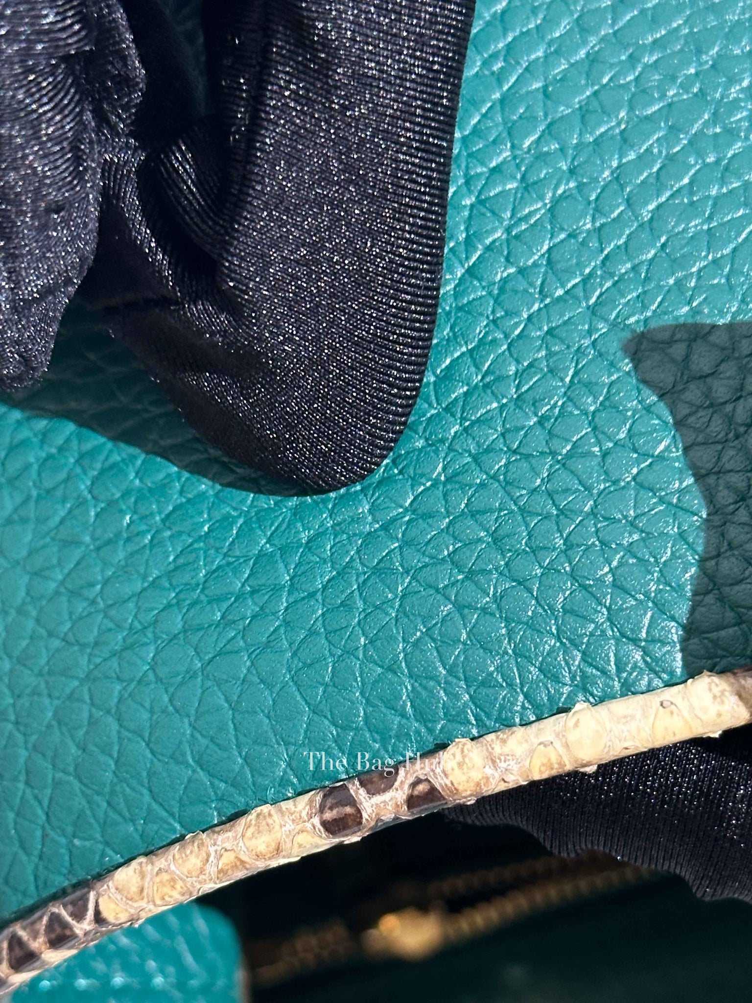 Louis Vuitton Emerald Taurillo Leather Python BB Capucine Bag