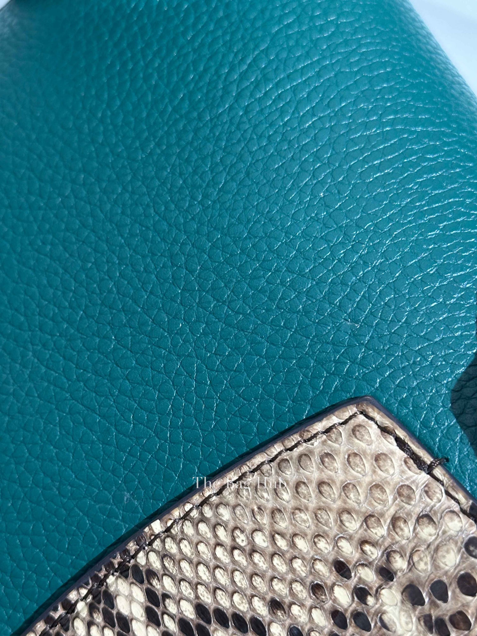Louis Vuitton Emerald Taurillo Leather Python BB Capucine Bag