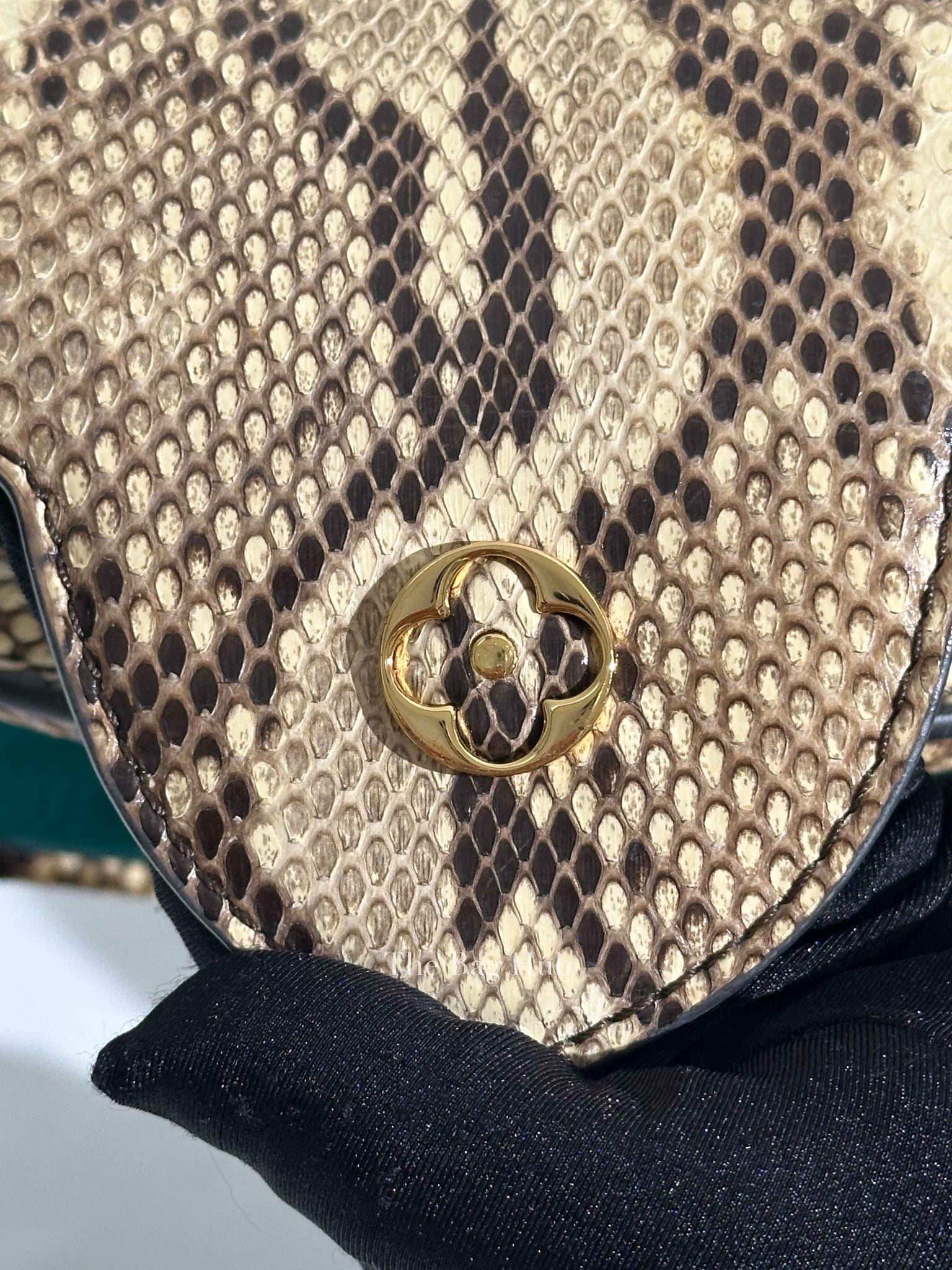 Louis Vuitton Emerald Taurillo Leather Python BB Capucine Bag