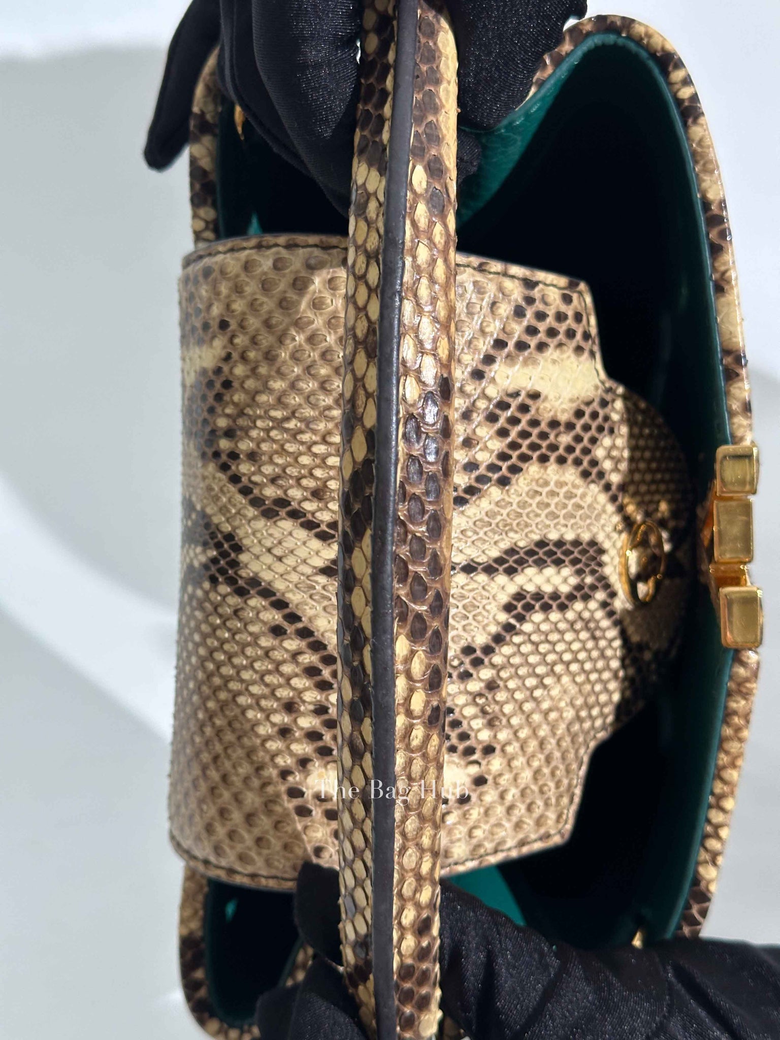 Louis Vuitton Emerald Taurillo Leather Python BB Capucine Bag