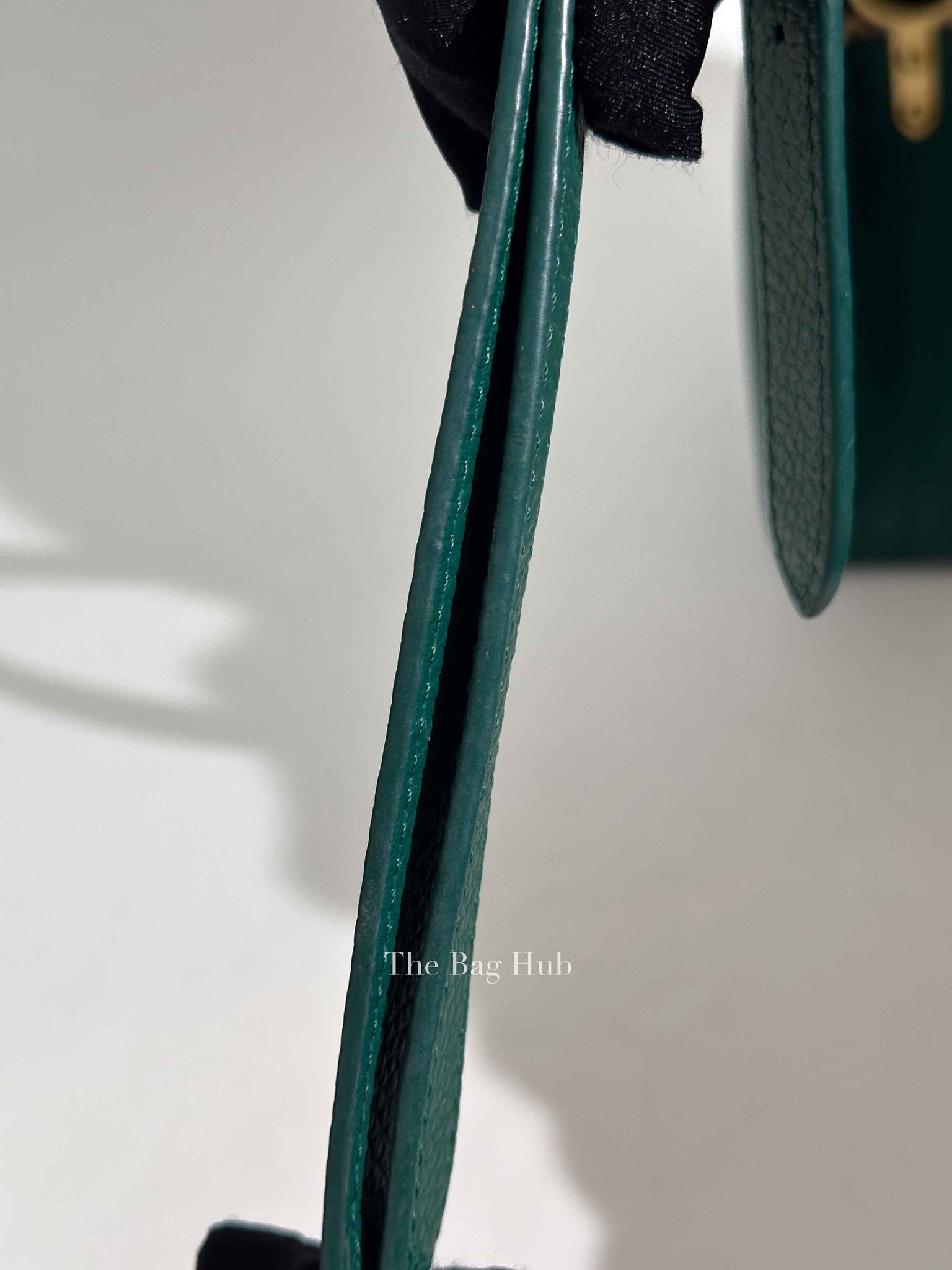 Louis Vuitton Emerald Taurillo Leather Python BB Capucine Bag