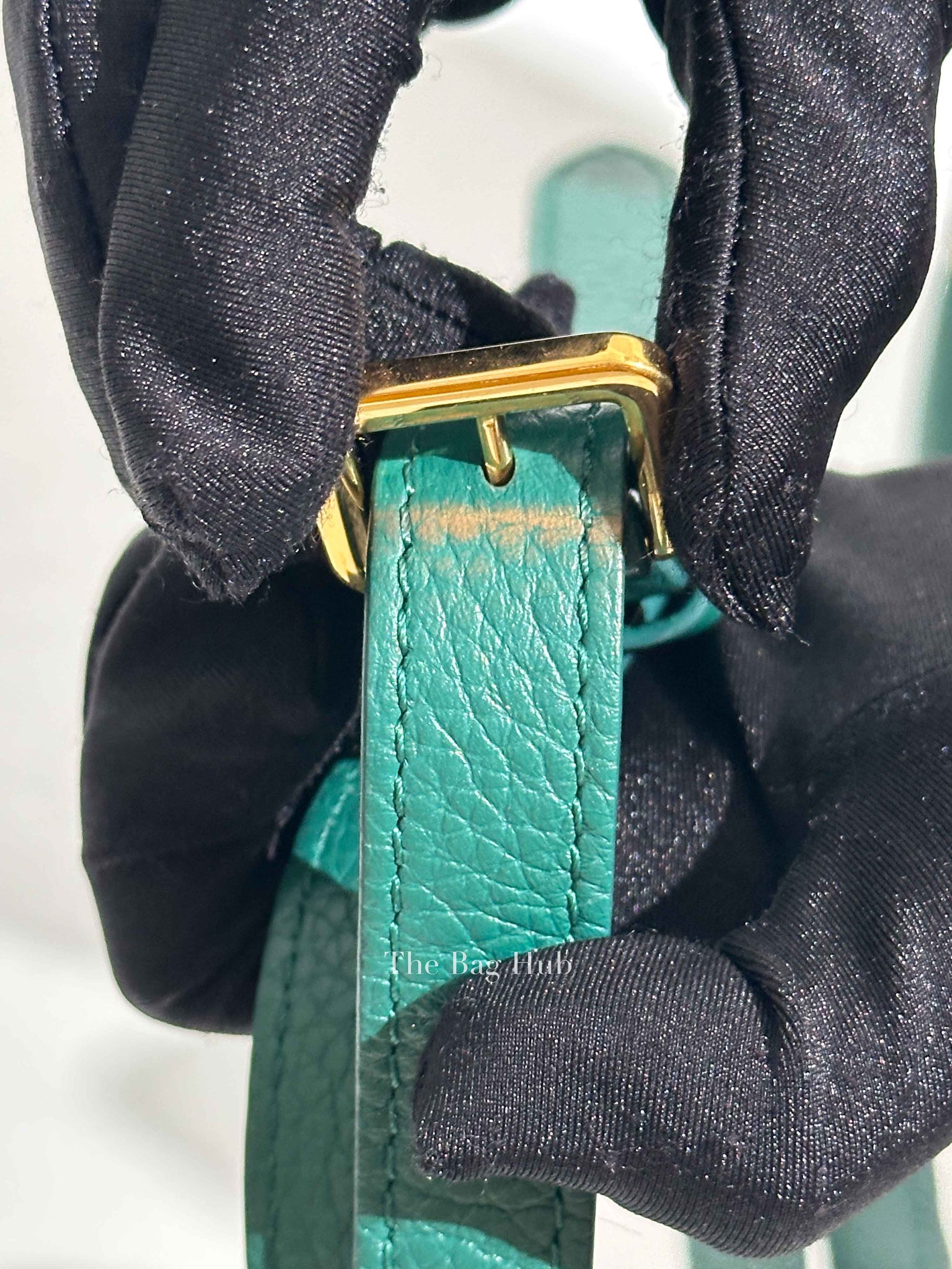 Louis Vuitton Emerald Taurillo Leather Python BB Capucine Bag