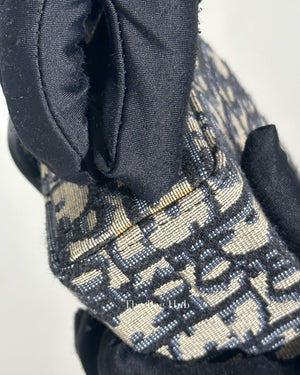 Dior Blue Oblique Jacquard 30 Montaigne Box Bag