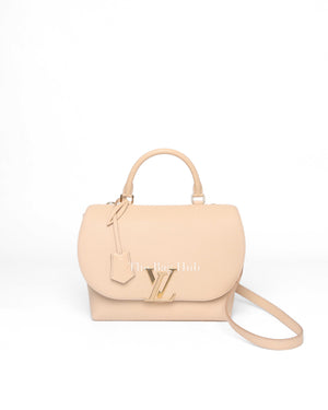 Louis Vuitton Mocaccino Leather Volta NV Bag