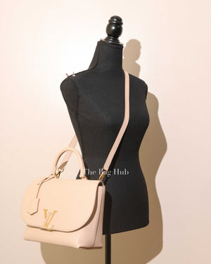Louis Vuitton Mocaccino Leather Volta NV Bag