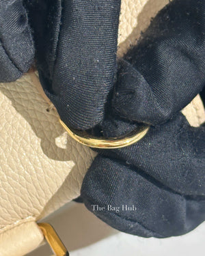 Louis Vuitton Mocaccino Leather Volta NV Bag