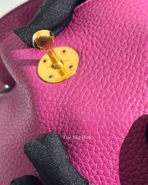 Hermes Tosca Clemence Lindy 30 Bag GHW