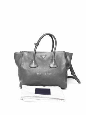Prada Marmo Glace Calf Twin Pocket Bag BN2619