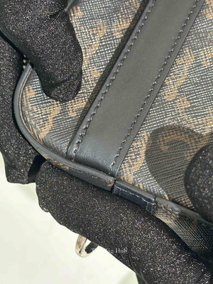 Celine Black Canvas/Calfskin Triomphe Messenger Small Bag