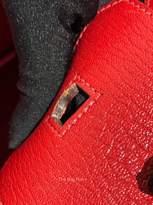 Hermes Rubis Leather Birkin 35 Bag
