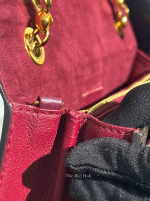 Louis Vuitton Monogram Canvas Raisin Victoire Bag