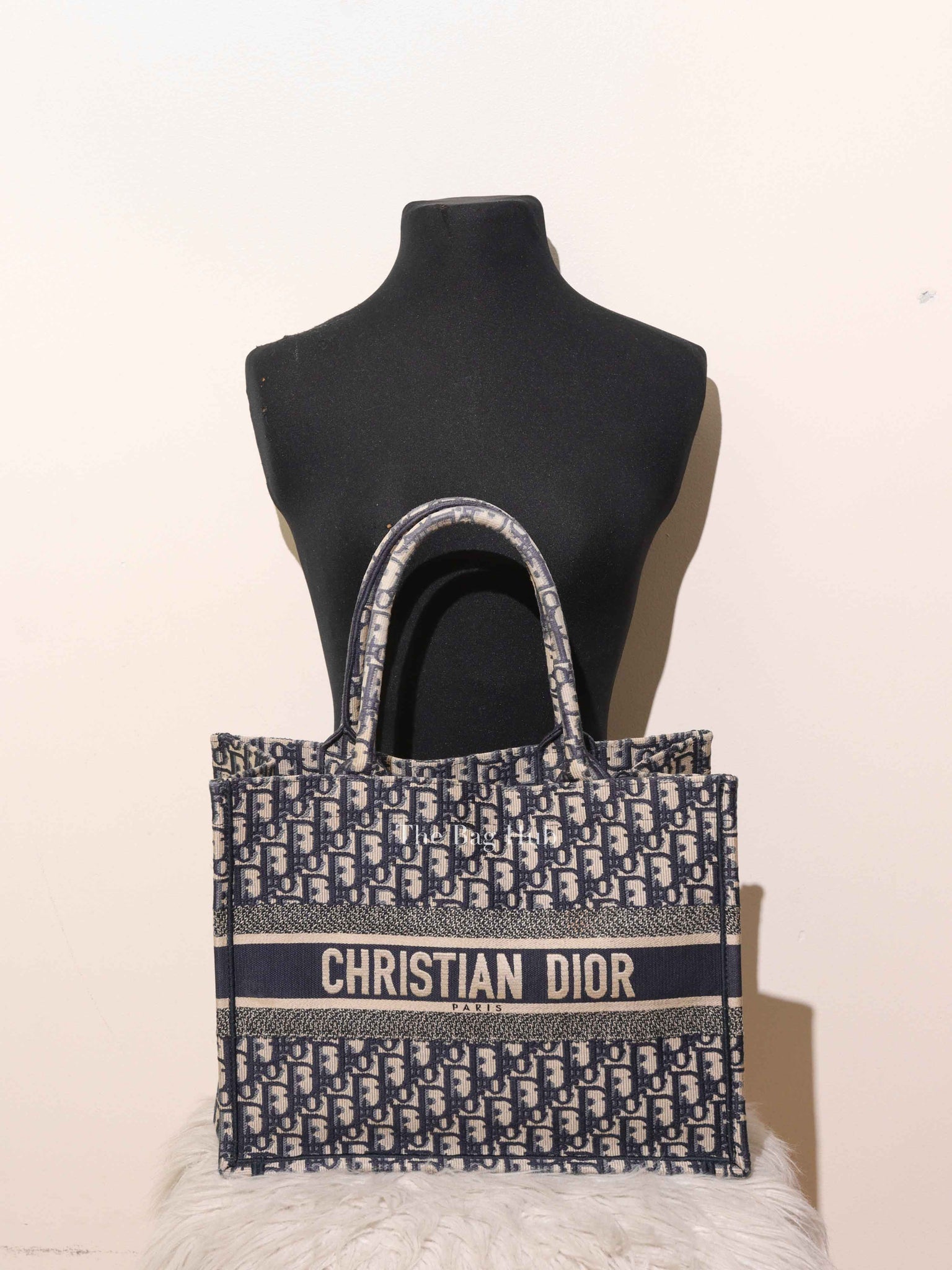 Dior Ecru/Blue Oblique Embroidery Medium Book Tote