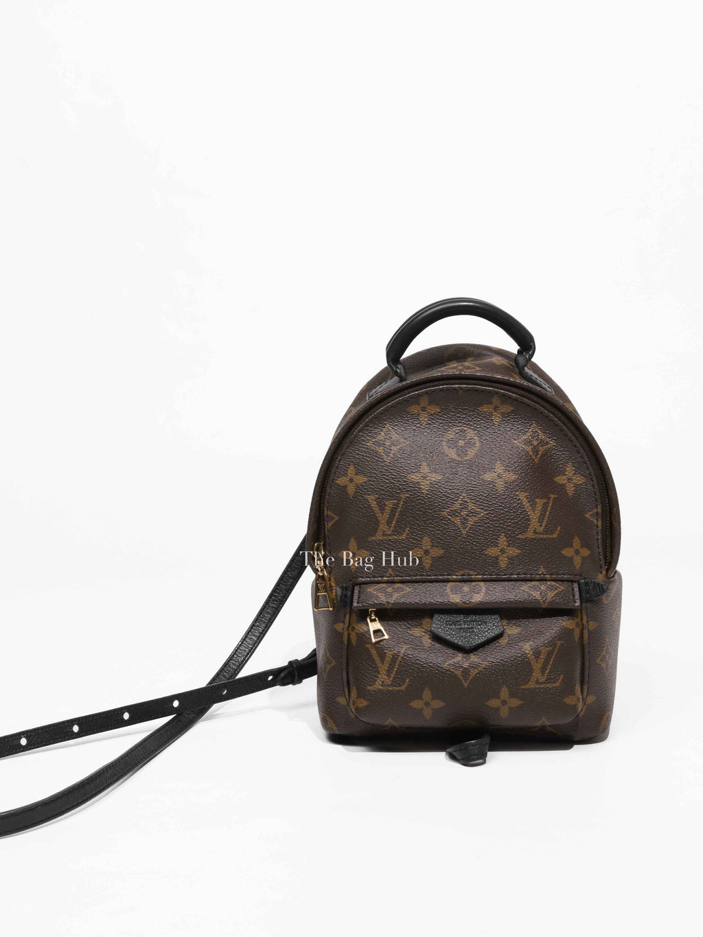 Louis Vuitton Monogram Canvas Mini Palm Springs Backpack