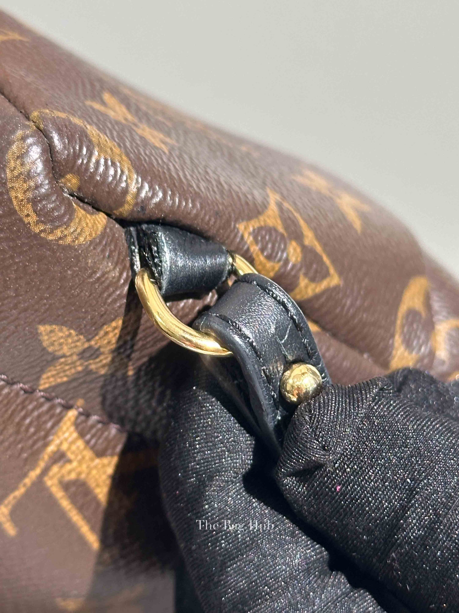 Louis Vuitton Monogram Canvas Mini Palm Springs Backpack