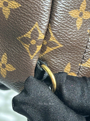 Louis Vuitton Monogram Canvas Mini Palm Springs Backpack