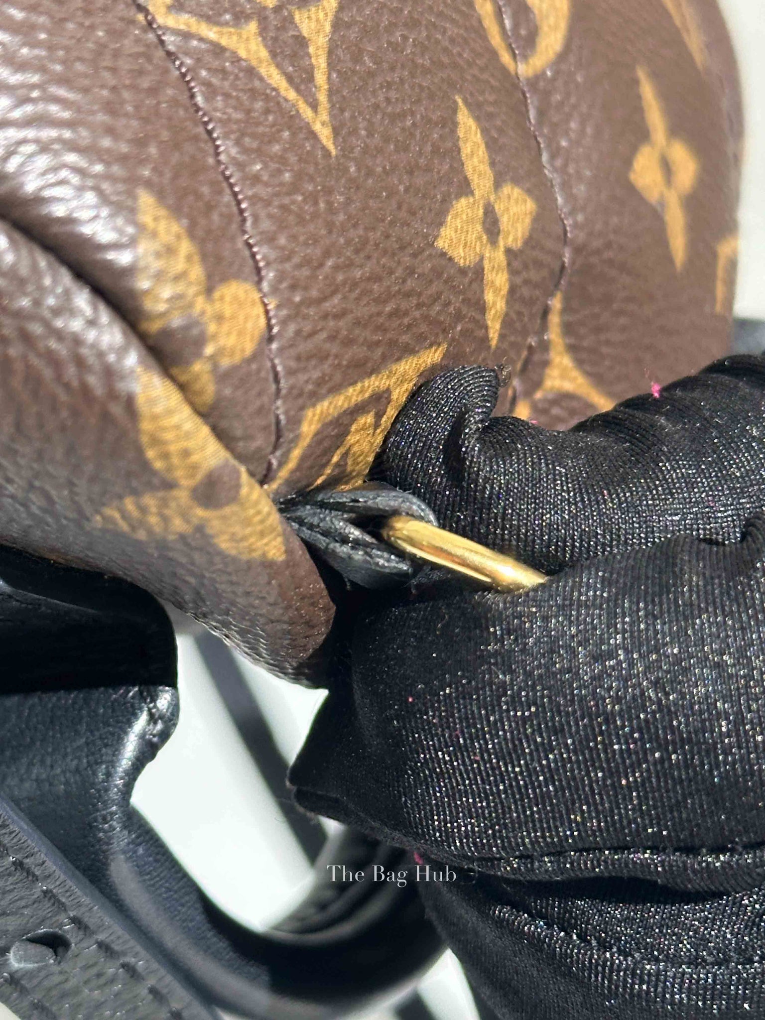 Louis Vuitton Monogram Canvas Mini Palm Springs Backpack