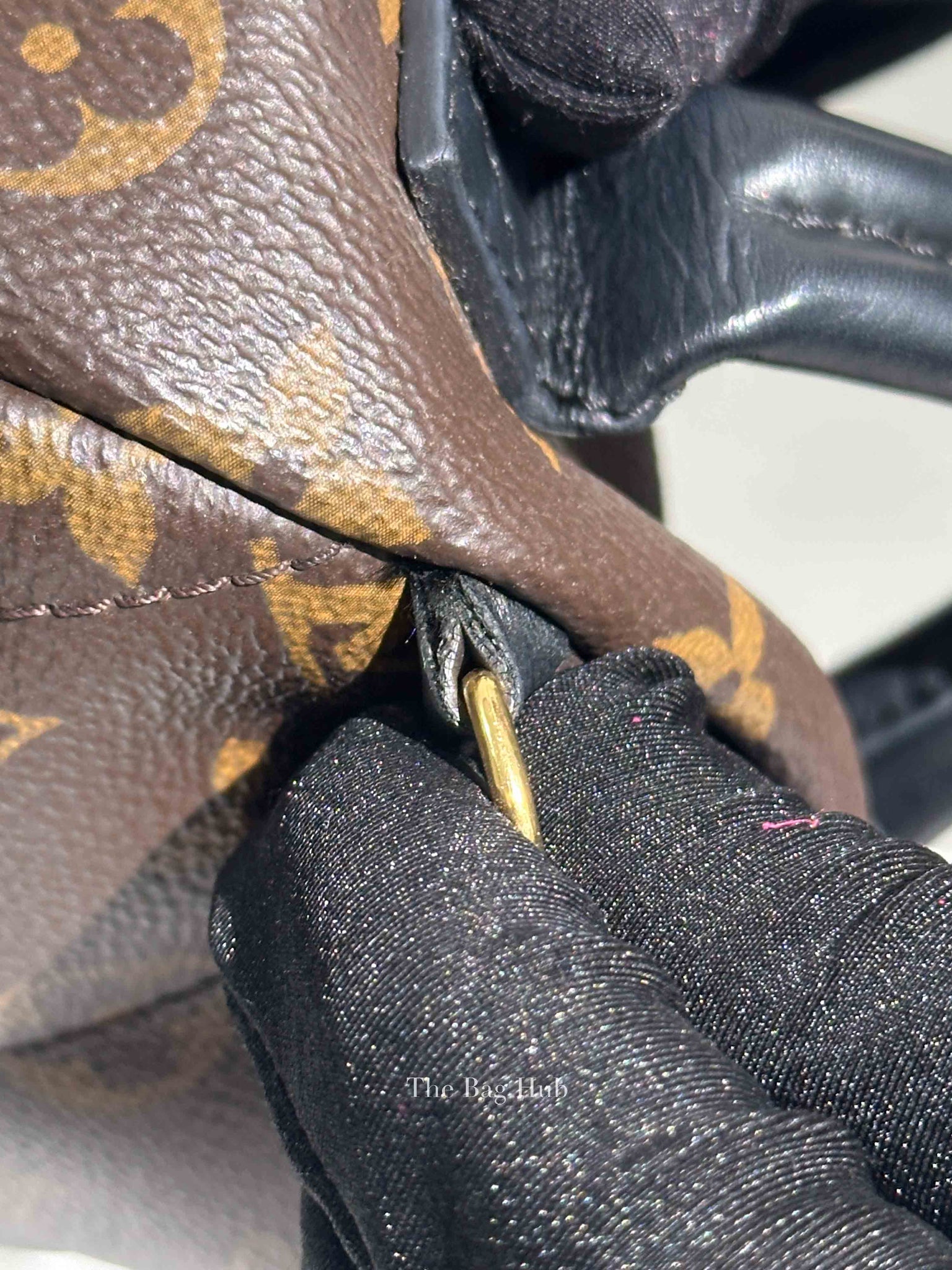 Louis Vuitton Monogram Canvas Mini Palm Springs Backpack