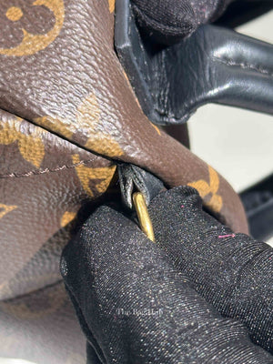 Louis Vuitton Monogram Canvas Mini Palm Springs Backpack