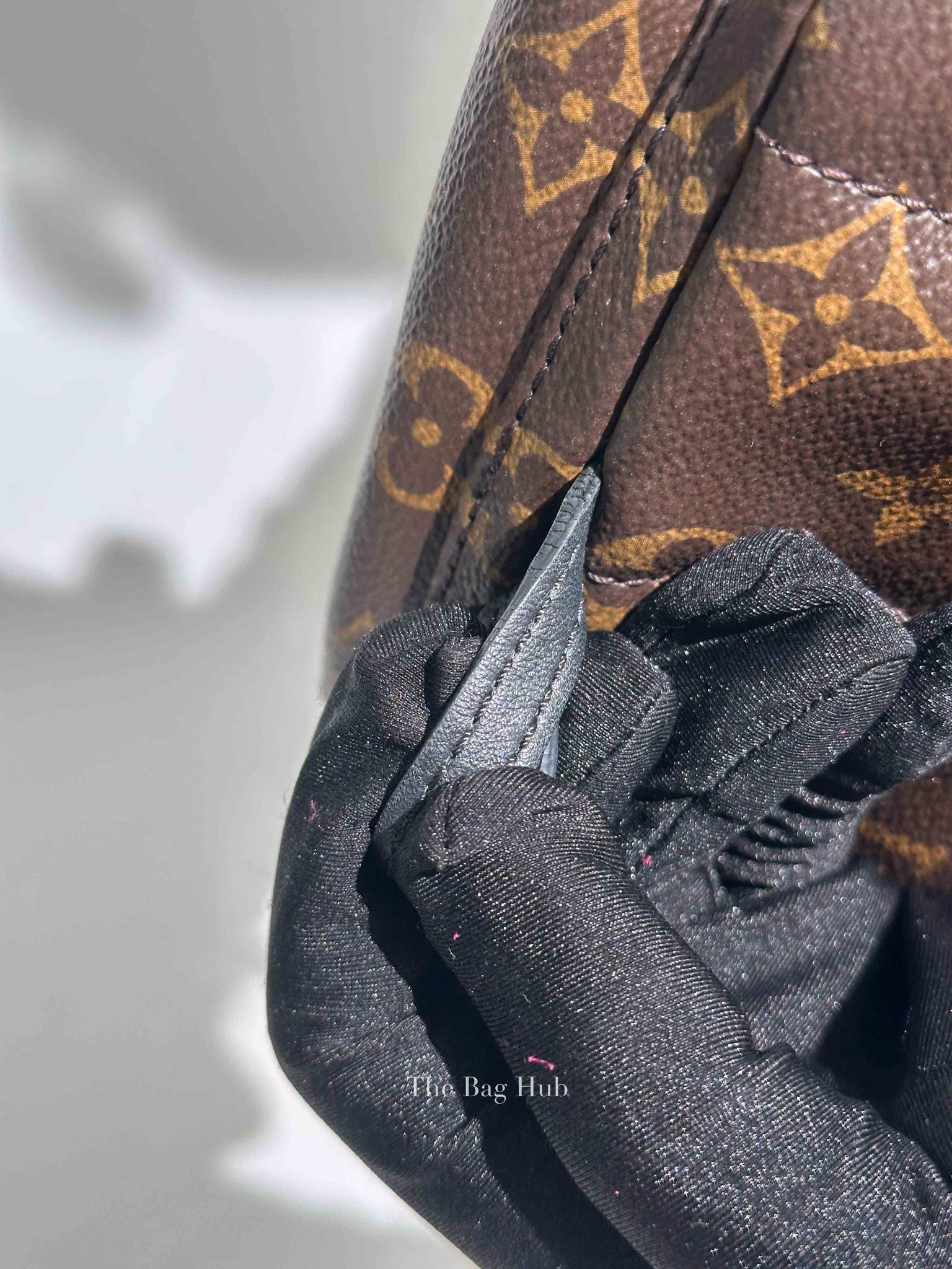 Louis Vuitton Monogram Canvas Mini Palm Springs Backpack