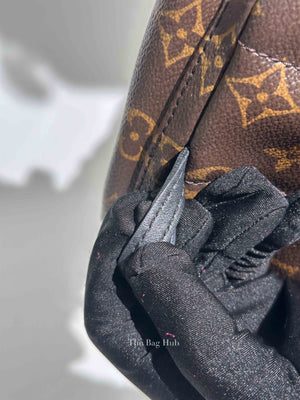 Louis Vuitton Monogram Canvas Mini Palm Springs Backpack