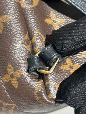 Louis Vuitton Monogram Canvas Mini Palm Springs Backpack