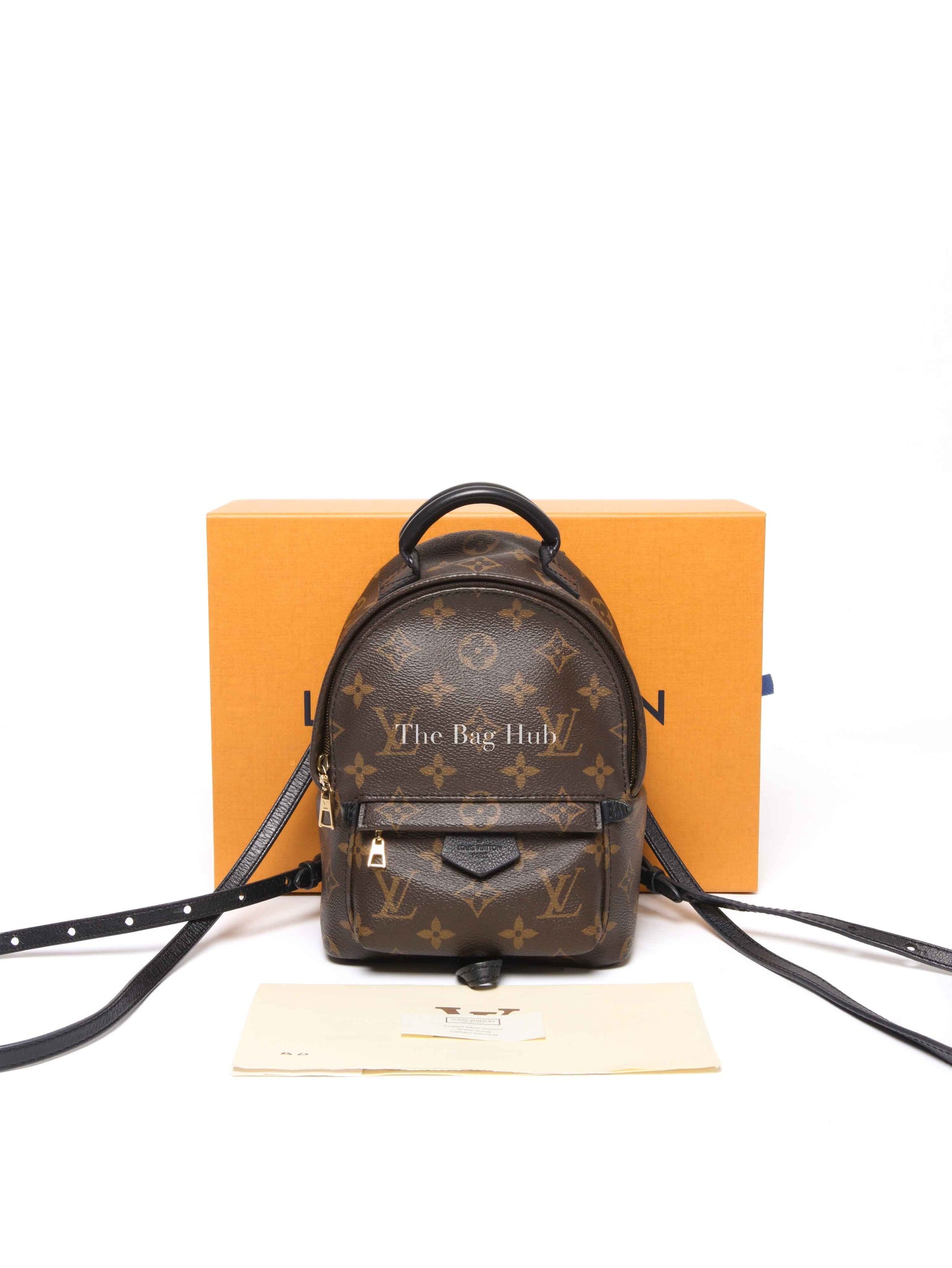 Louis Vuitton Monogram Canvas Mini Palm Springs Backpack