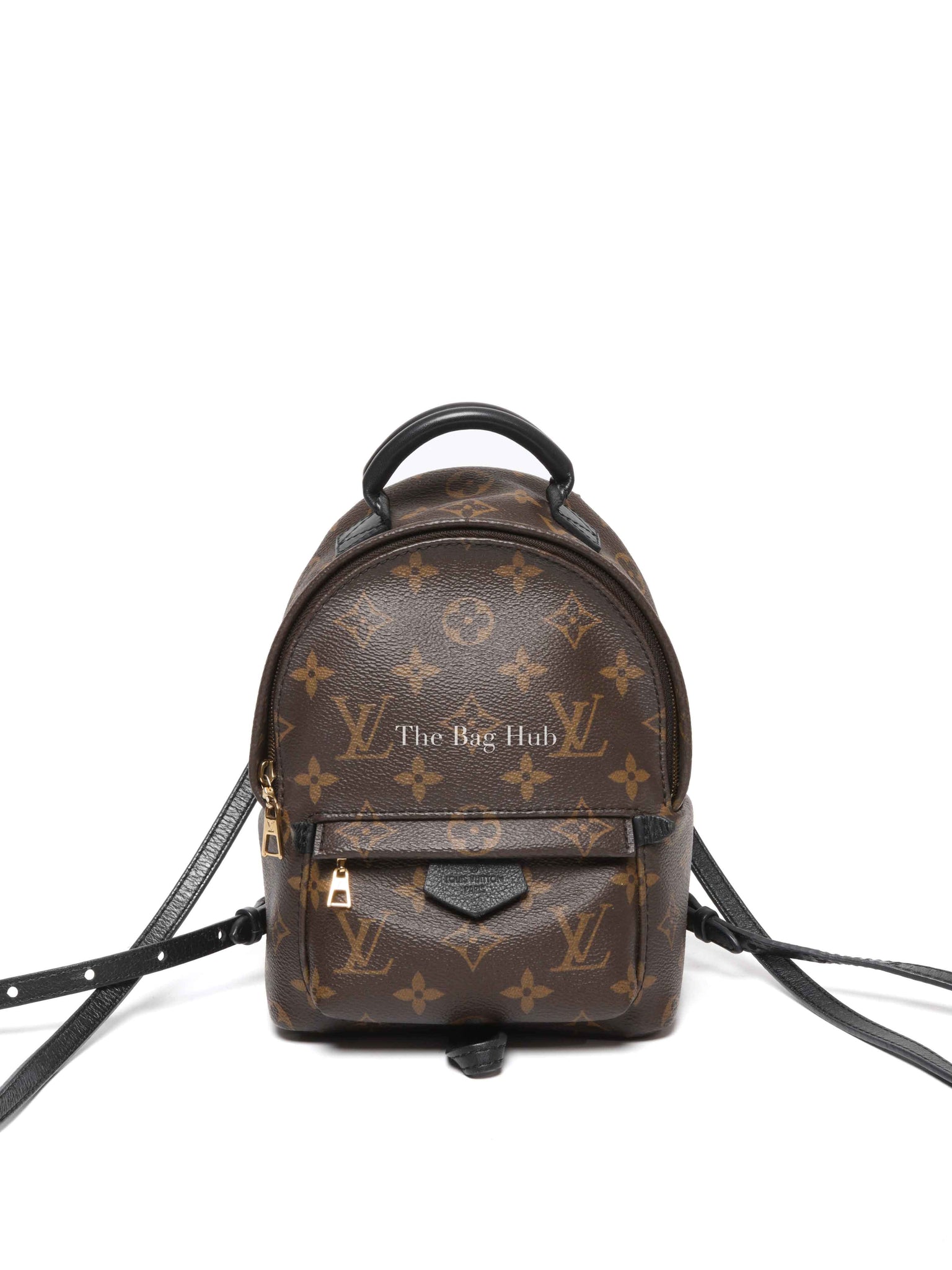 Louis Vuitton Monogram Canvas Mini Palm Springs Backpack