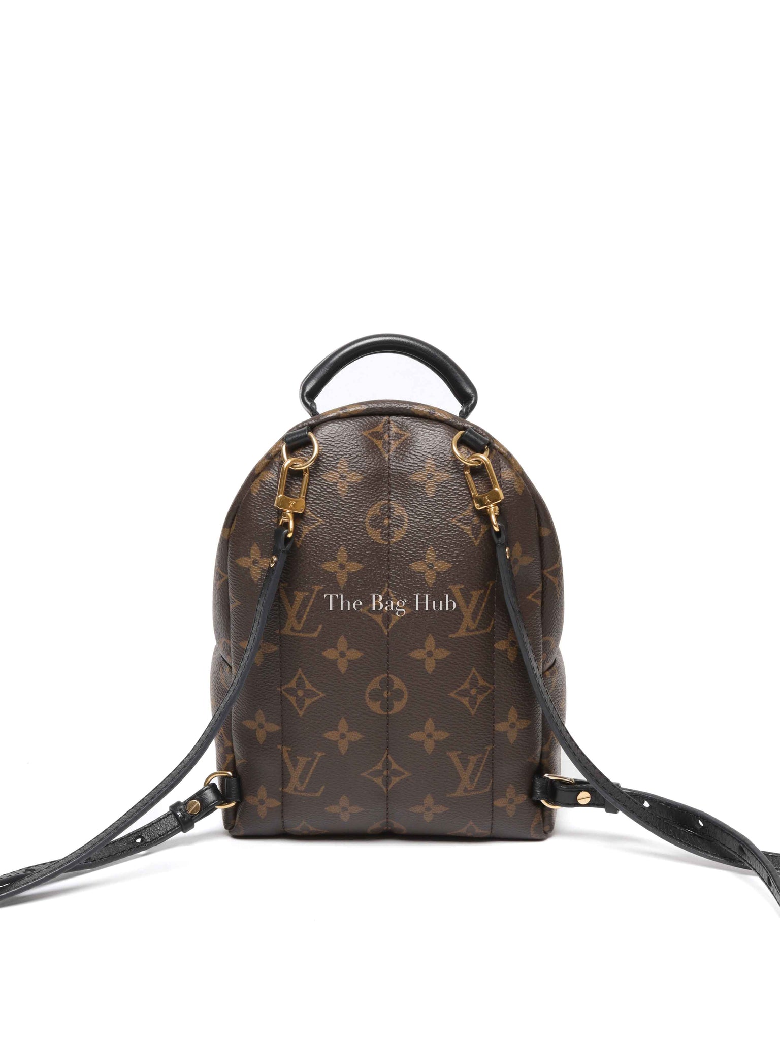 Louis Vuitton Monogram Canvas Mini Palm Springs Backpack