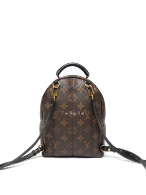 Louis Vuitton Monogram Canvas Mini Palm Springs Backpack