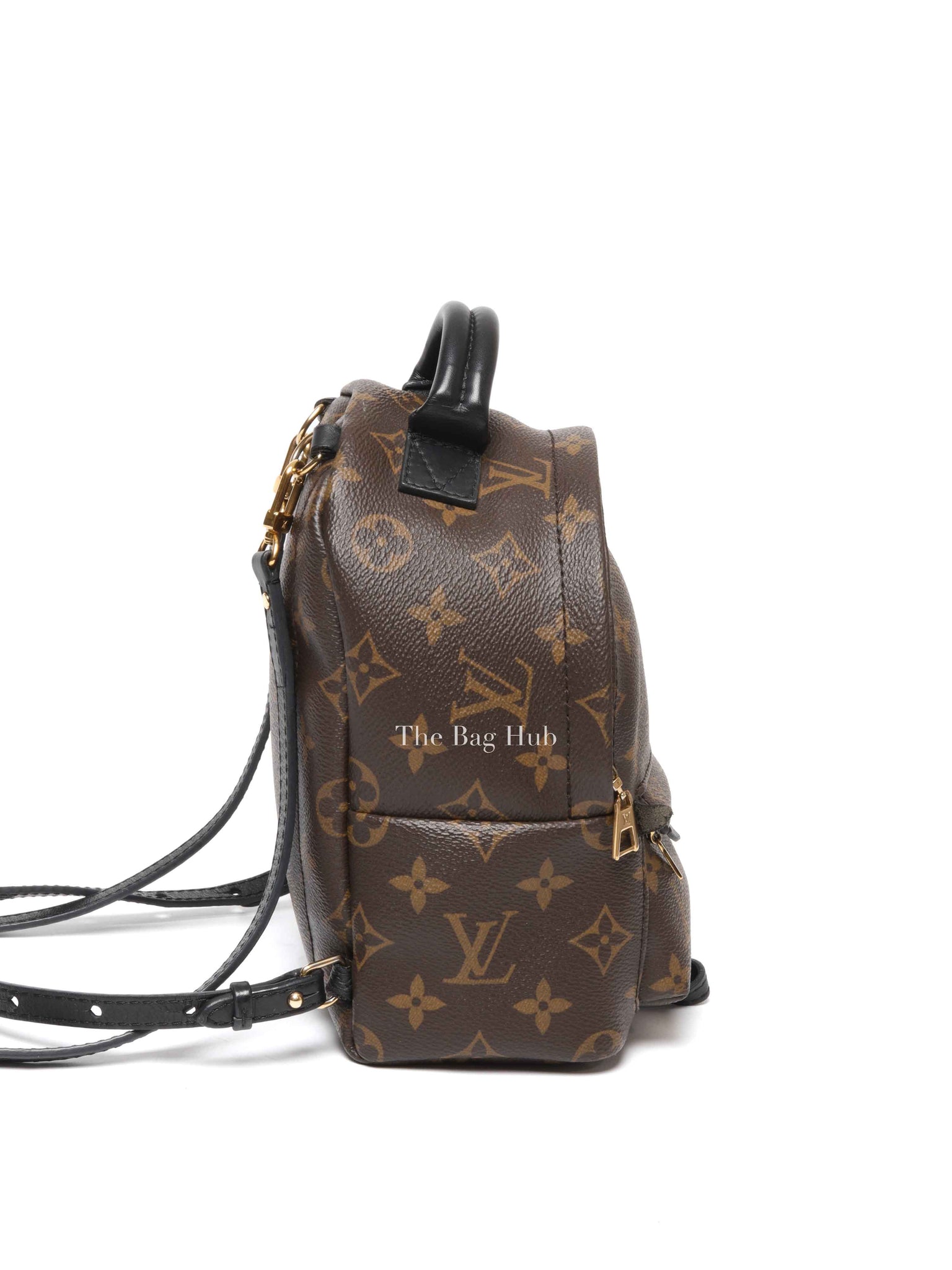Louis Vuitton Monogram Canvas Mini Palm Springs Backpack