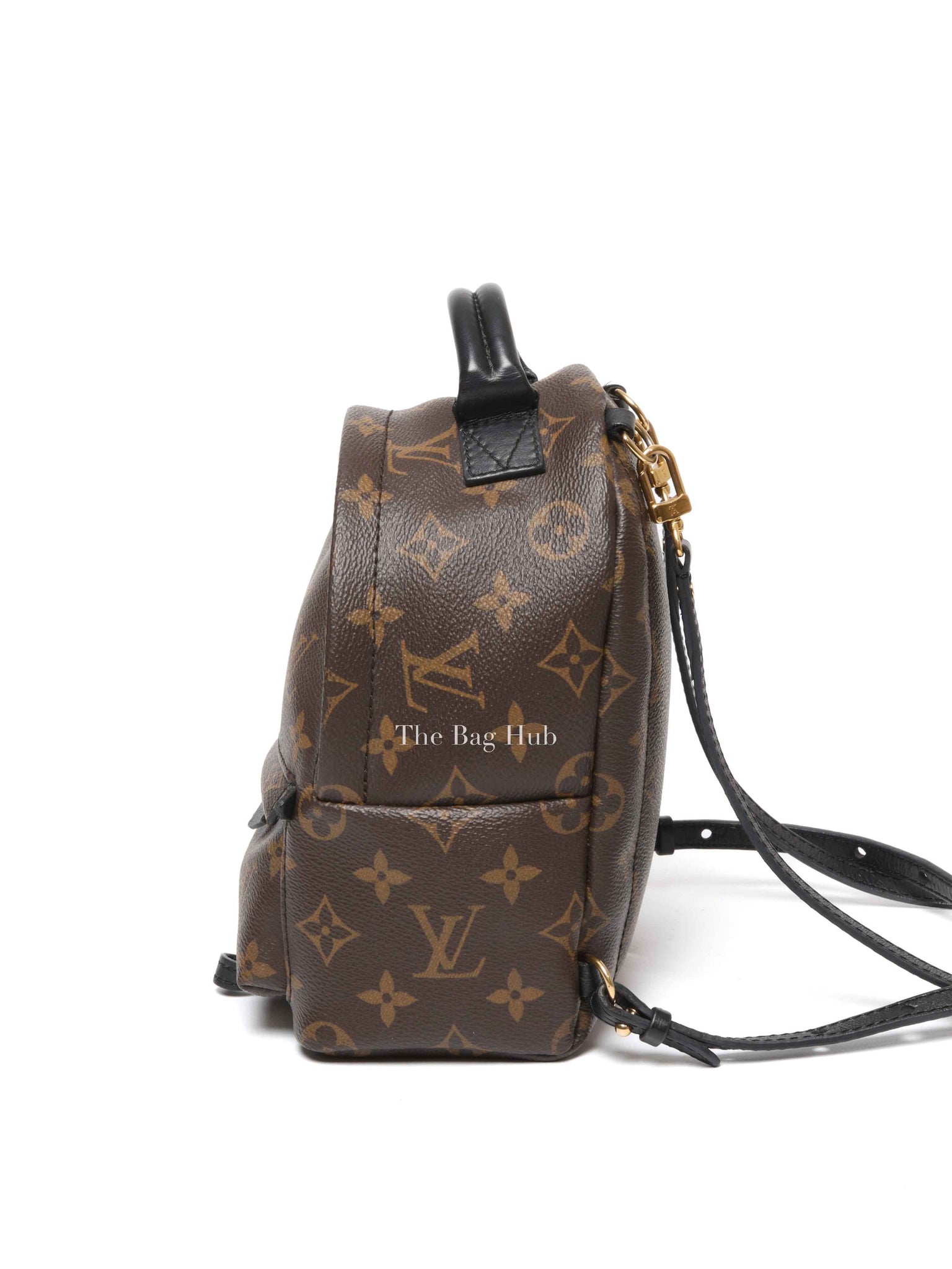 Louis Vuitton Monogram Canvas Mini Palm Springs Backpack