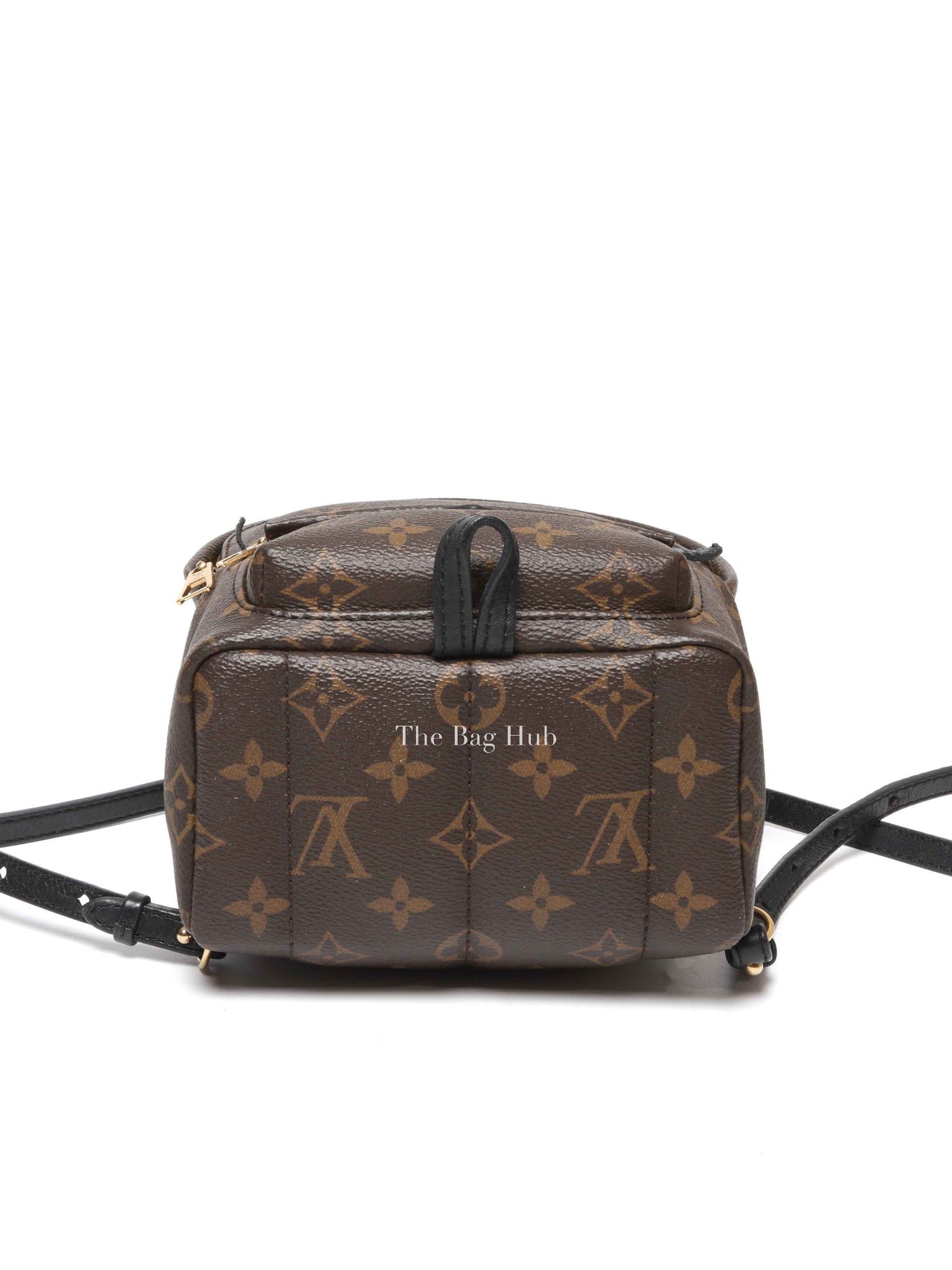 Louis Vuitton Monogram Canvas Mini Palm Springs Backpack